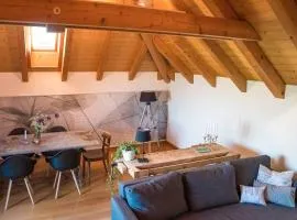 Stilvolle, stadtnahe Ferienwohnung mit Alpensicht