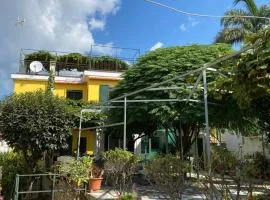 CASA MIMOSA: relax, vista mare, parcheggio gratis