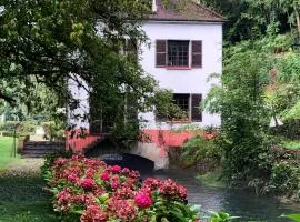 Moulin de Belle Isle