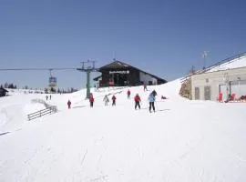 Apartment in Fresach near Ski Slopes