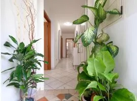 Marina 2 Pineto Vacanza