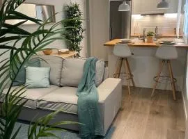 Apt Centro Pontevedra