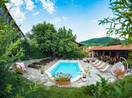 Casa Dives - Transylvania – pensjonat w mieście Pianu de Sus