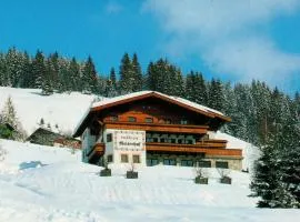 Modern holiday home near the ski area