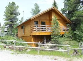 Chalet in Turracherhöhe Styria near ski area