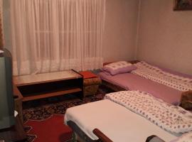 -na dan-Apartman-, hotel em Sjenica