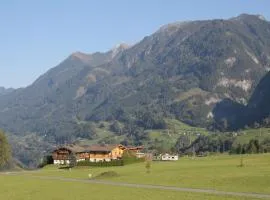 Apartment in Embach near Gastein Ski Area