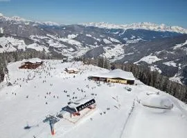 Studio in Kleinarl near Ski Amade Slopes