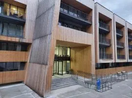 Bakuriani Kokhta-Mitarbi Resort B2 409