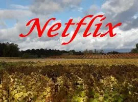 L'OCCITANE appartement climatisé centre ville wifi netflix inclus