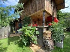 Exclusive Bio-Almhütte mit vielen Extras in Asten