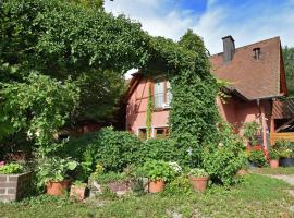 Countryside apartment with garden, hotel with parking in Schallstadt