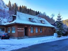 Spacious Haven in Wildemann