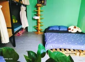 Homestay Gác Mơ Vũng Tàu