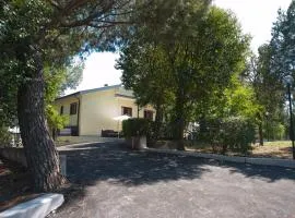 Domus in Viridi