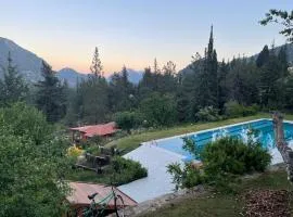 Trinitys Forest Bungalows