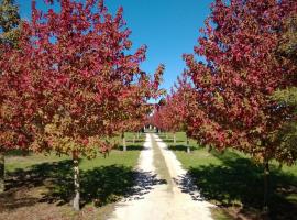 Korbaylen Estate, landsted i Hamilton