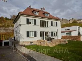 Ferienwohnung stadtnah mit Weinbergblick