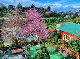 Đèn lồng homestay & coffee