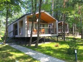 3pokoje - Domek lub Pokój pod lasem na odludziu, jacuzzi, sauna, kominek, Roztocze