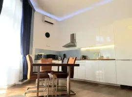 Luxurious Apartment with Balconies in DownTown BP