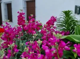 Casa Francisca en el casco antiguo