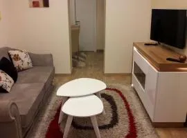 Apartment Dedinje Hill 2