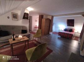 Elbenland Apartments, Hotel in Bad Schandau