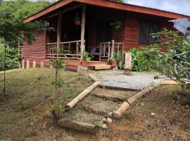 Log Cabin in Tinamaste Valley, Habacuc Woods, BARÚ, chalet i Platanillo