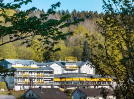 Hotel Deynique, Hotel in Westerburg