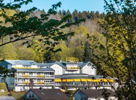 Hotel Deynique, hotel in Westerburg