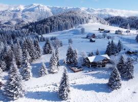 La Vulturi, hotel in Fundata