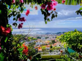 Granny's house view, cottage in Funchal