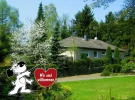 Apartment in Diemelsee near Ski Lift