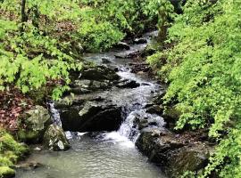 Secluded Home with Mini Waterfall and a Creek in Hot Springs，溫泉城的Villa
