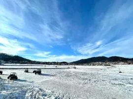 Bakuriani Plaza A113