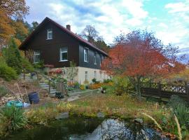 Spacious apartment in Harz near ski area, hotel with parking in Blankenburg