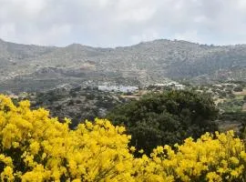 Freedom's house on Volaka Village Tinos