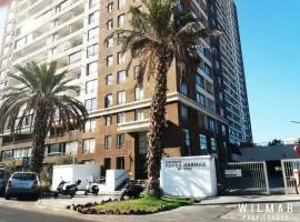 TADEO HEANKE DEPARTAMENTO IQUIQUE