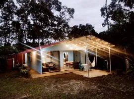 Amphibia House