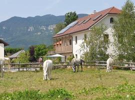 Lipizzaner Lodge Guest House, хотел в Постойна