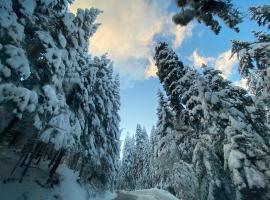CEDAR LODGE NEXT TO LIFT ONE BEDROOM APARTMENT, chalet de monta&ntilde;a en Bansko