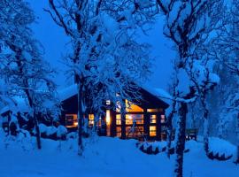 Venehovda - cabin at 1000 masl, planinska kuća u gradu 'Al'