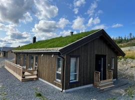 Brand new cottage with super views Skeikampen, casa vacanze a Svingvoll
