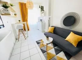 STUDIO VAISE 1 DANS 69009 LYON
