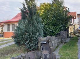 Casa cu fantana، كوخ في Borleşti