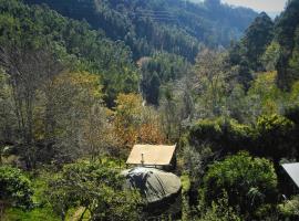 Green Man yurt, hotel in Penela