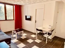 32EG faculté médecine, hôpitaux, vinatier