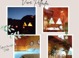 Domo Vive Pellaifa, cheap hotel in Coñaripe