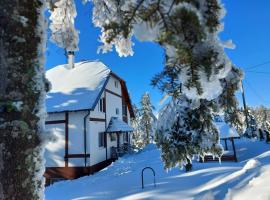 Apartmani Borova Iglica Divčibare, ξενοδοχείο σε Divčibare